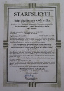 Starfsleyfi